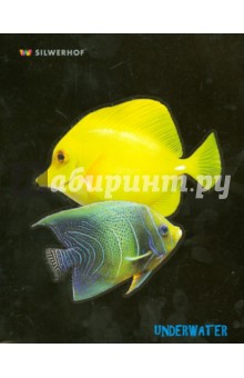 Тетрадь 48 листов. Aquarium fish.Клетка (811426-55).