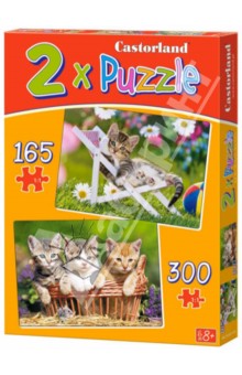 Puzzle      2  1 (B-021116)