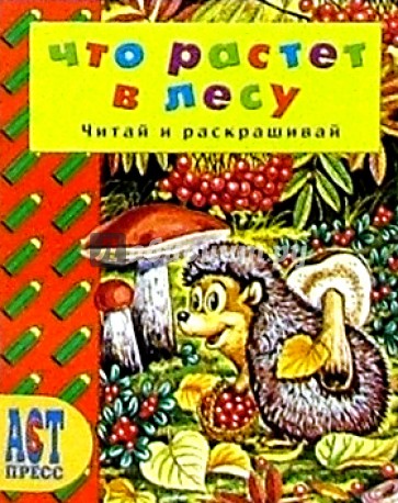Что растет в лесу