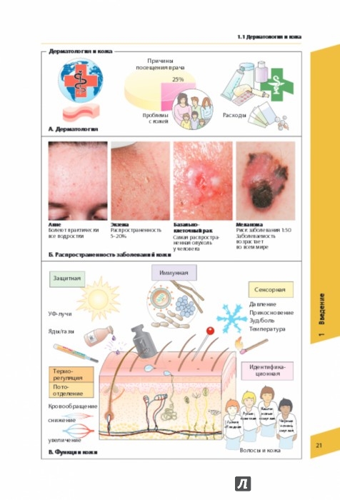Иллюстрация 2 из 14 для Атлас по дерматологии - Бургдорф, Рекен, Шаллер, Заттлер | Лабиринт - книги. Источник: Лабиринт