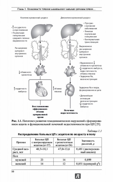 Схема лечения асцита у собак