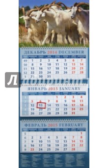 Календарь квартальный 2015. Год козы. Козы в движении (14508).