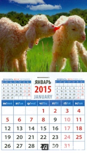 Иллюстрация 1 из 2 для Календарь магнитный на 2015 год "Год овцы. Забавные ягнята" (20539) | Лабиринт - сувениры. Источник: Лабиринт