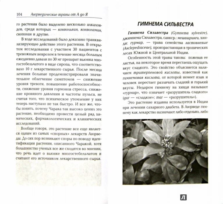 Иллюстрация 1 из 10 для Сакральные растения аюрведы - Амритананда Чопра | Лабиринт - книги. Источник: Лабиринт