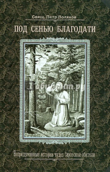 Под сенью благодати. Непридуманные истории чудес Саровской обители