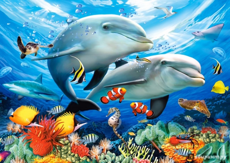 Иллюстрация 1 из 3 для Puzzle-1500 "Дельфины" (C-151257) | Лабиринт - игрушки. Источник: Лабиринт