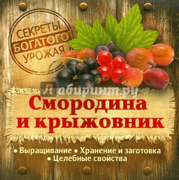 Смородина и крыжовник