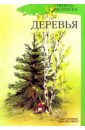 Нищева Наталия Валентиновна Деревья. Книжка-раскраска для дошкольников нищева наталия валентиновна школьные принадлежности раскраска