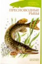 Нищева Наталия Валентиновна Пресноводные рыбы (раскраска) раскраска рыбы