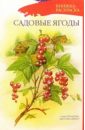 Садовые ягоды (раскраска) мини раскраска ягоды