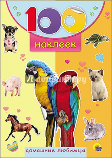 Домашние любимцы
