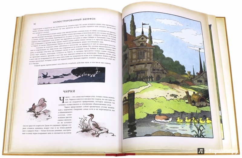 Иллюстрация 2 из 7 для Иллюстрированный Бюффон или Натуральная история че | Лабиринт - книги. Источник: Лабиринт