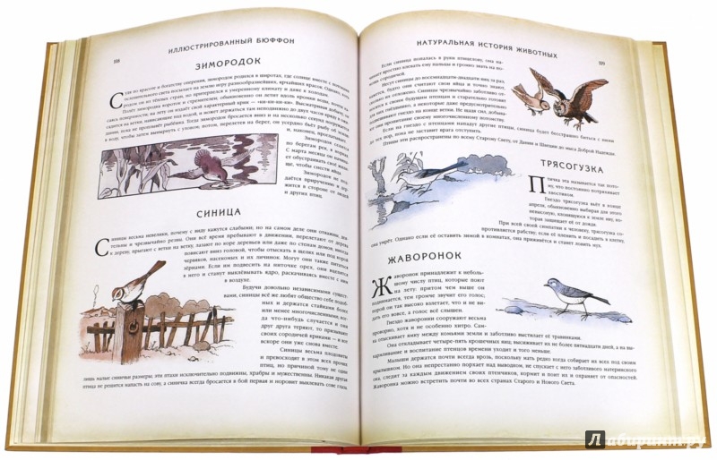 Иллюстрация 3 из 7 для Иллюстрированный Бюффон или Натуральная история че | Лабиринт - книги. Источник: Лабиринт