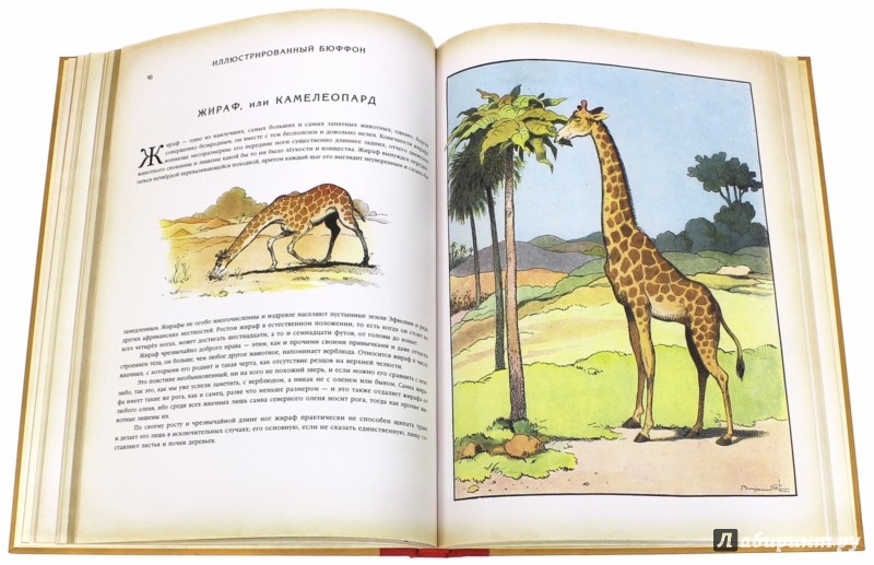 Иллюстрация 4 из 7 для Иллюстрированный Бюффон или Натуральная история че | Лабиринт - книги. Источник: Лабиринт