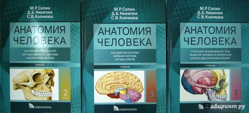 Анатомия пособие для вузов. Анатомия человека Сапин 1 том. Анатомия человека Сапин Билич 3 том. Анатомия человека Сапин Билич 2 издание. Сапин Билич анатомия человека.