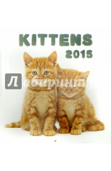  2015  Kittens  (2242)