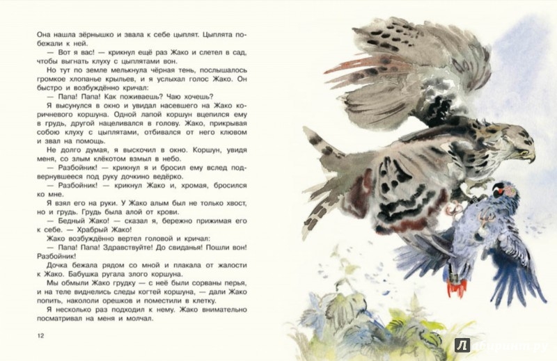 Иллюстрация 5 из 31 для Воинственный Жако - Сергей Воронин | Лабиринт - книги. Источник: Лабиринт