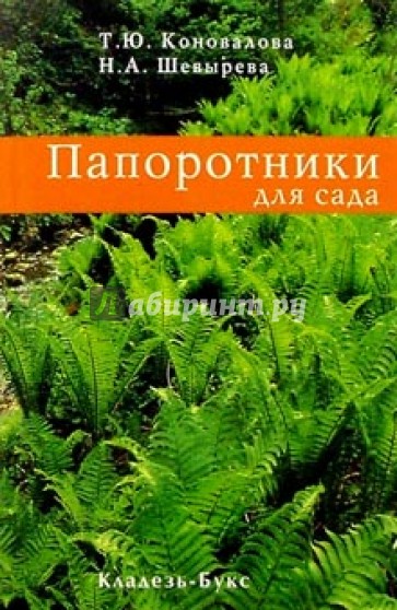 Папоротники для сада