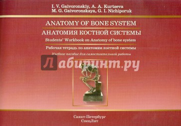 Анатомия костной системы. Рабочая тетрадь к учебному пособию на английском языке