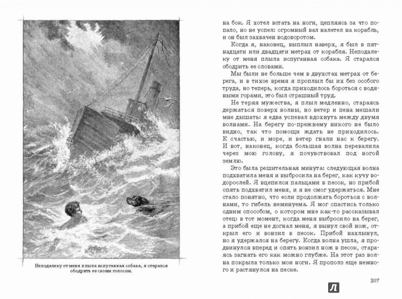 Иллюстрация 8 из 14 для Приключения Ромена Кальбри - Гектор Мало | Лабиринт - книги. Источник: Лабиринт
