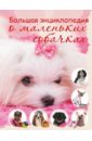 Большая энциклопедия о маленьких собачках - Вайткене Любовь Дмитриевна