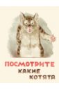 арчер менди какие лапочки котята Матвеев Владимир Посмотрите какие котята