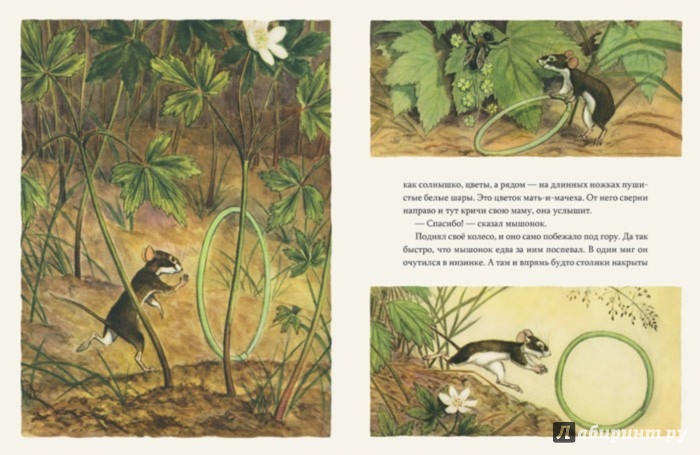 Иллюстрация 4 из 41 для Мышонок заблудился - Нина Павлова | Лабиринт - книги. Источник: Лабиринт