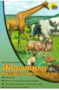 Наглядное пособие А4. Животные дикие и домашние карточки на картоне животные европы с познавательным текстом