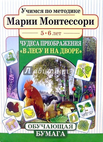 В лесу и на дворе 5-6лет