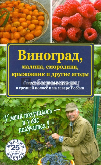 Виноград, малина, смородина, крыжовник и другие ягоды