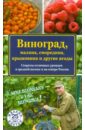 Жвакин Виктор Владимирович Виноград, малина, смородина, крыжовник и другие ягоды