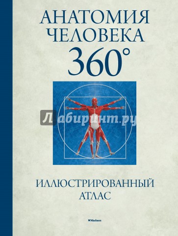 Анатомия человека 360°. Иллюстрированный атлас