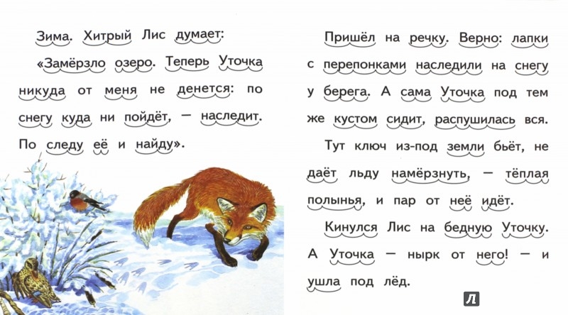 Картинки Хитрый Лис И Умная Уточка