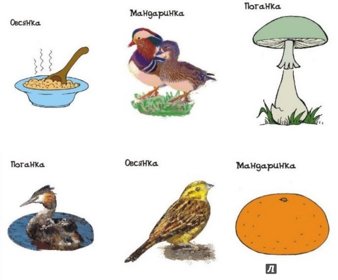 Иллюстрация 2 из 10 для Веселое птичье мемори - Алла Аникушина | Лабиринт - игрушки. Источник: Лабиринт