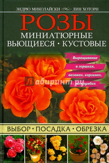 Розы. Миниатюрные. Вьющиеся. Кустовые