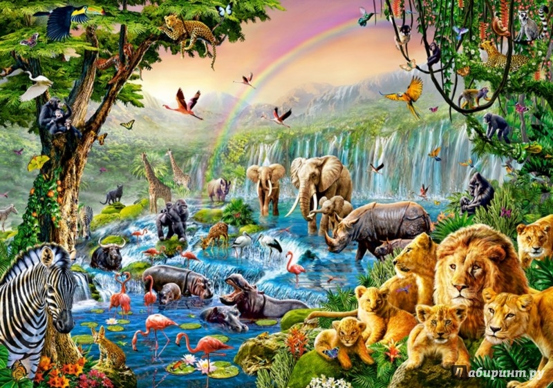 Иллюстрация 1 из 9 для Puzzle-500 "Река в джунглях" (B-52141) | Лабиринт - игрушки. Источник: Лабиринт