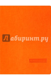 Дневник школьный MERCURY (ОРАНЖЕВЫЙ) (10-069/01).