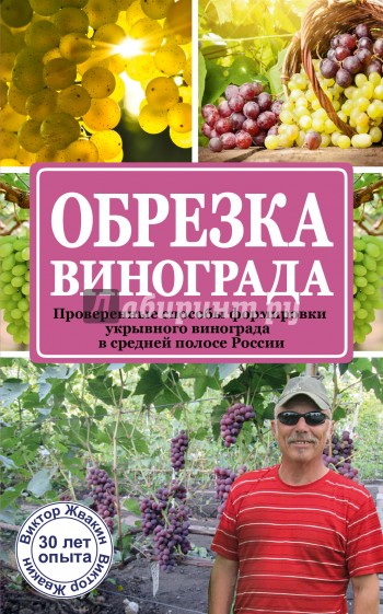 Обрезка винограда. Проверенные способы формировки укрывного винограда в средней полосе России