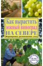 Загвоздин Юрий Максимович Как вырастить южный виноград на севере