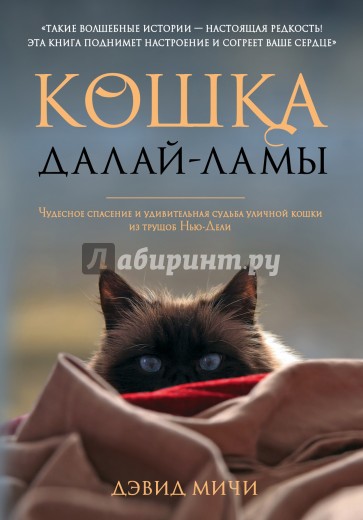 Кошка Далай-Ламы. Чудесное спасение и удивительная судьба уличной кошки из трущоб Нью-Дели