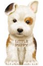 Caviezel Giovanni Little Puppy puppy board book
