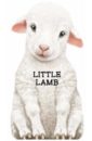 Caviezel Giovanni Little Lamb