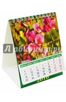 Календарь настольный на 2016. Домик. Цветы (10604).