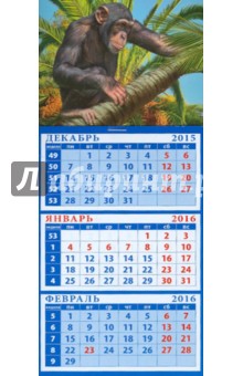 Календарь квартальный на магните 2016. Год обезьяны. Шимпанзе на пальме (34617).