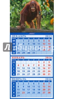 Календарь квартальный на магните 2016. Год обезьяны. Малыш орангутанг (34620).