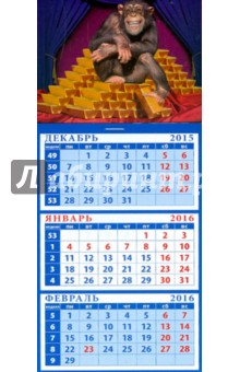 Календарь квартальный на магните 2016. Год обезьяны. Шимпанзе с золотом (34622).