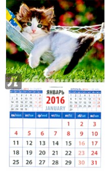 Календарь на магните на 2016. Котенок в гамаке (20614).
