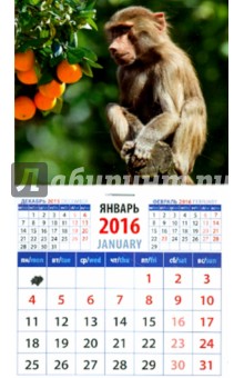 Календарь на магните на 2016 год. Год обезьяны. Маленький павиан (20626).