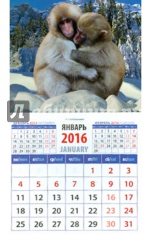 Календарь на магните 2016. Год обезьяны. Снежные макаки (20631).