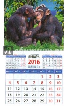 Календарь на магните 2016. Год обезьяны. Два шимпанзе (20633).